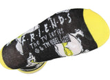 FRIENDS TV Show Men’s TURKEY/SUNGLASSES Socks BIOWORLD Brand - Novelty Socks for Less