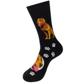 FUNATIC BRAND CHOCOLATE LAB DOG - Novelty Socks for Less