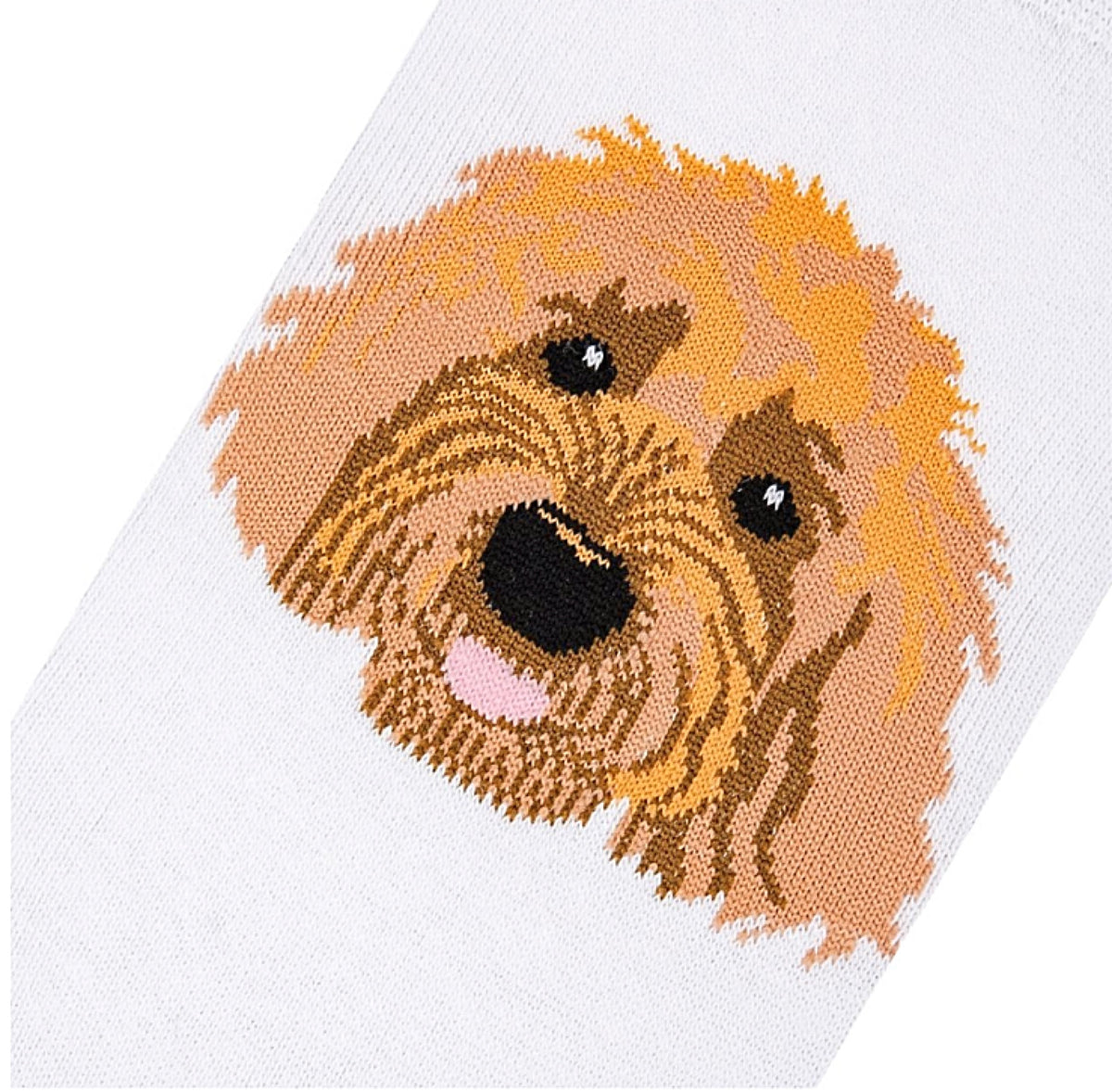 LABRADOODLE Dog Ladies Socks COOL SOCKS Brand - Novelty Socks for Less