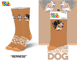 BERNESE MOUNTAIN Dog Ladies Socks COOL SOCKS Brand - Novelty Socks for Less