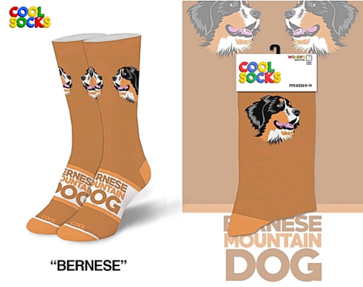 BERNESE MOUNTAIN Dog Ladies Socks COOL SOCKS Brand - Novelty Socks for Less
