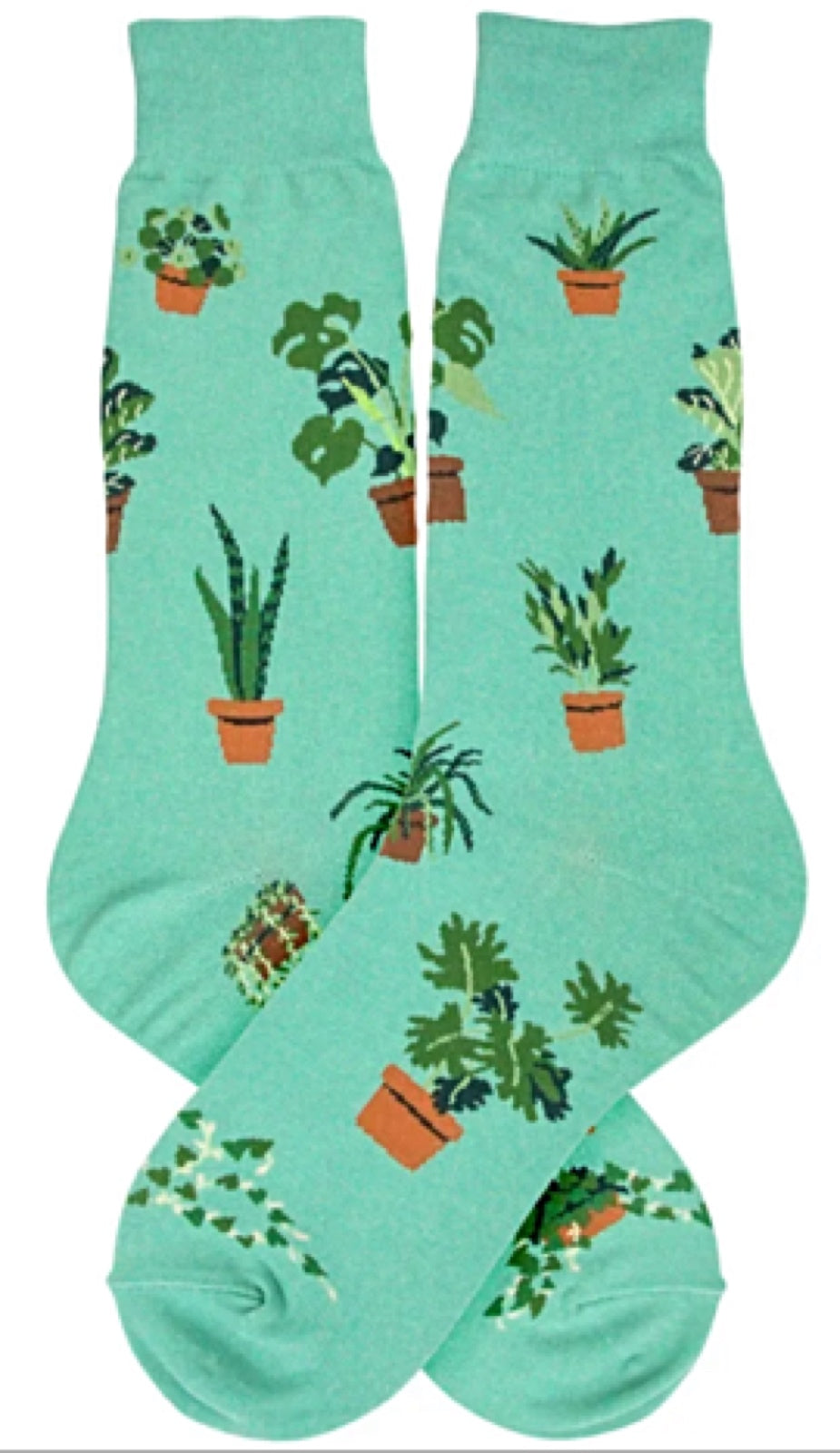 FOOT TRAFFIC Brand Men’s PLANT DUDE Socks - Novelty Socks for Less