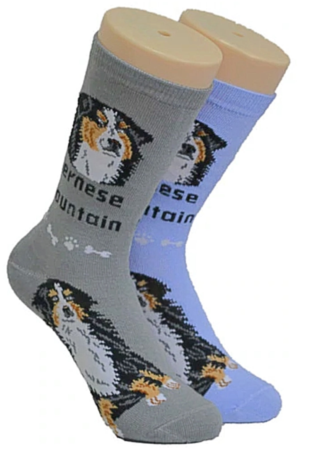 FOOZYS BRAND Ladies 2 Pair BERNESE MOUNTAIN DOG Socks - Novelty Socks for Less