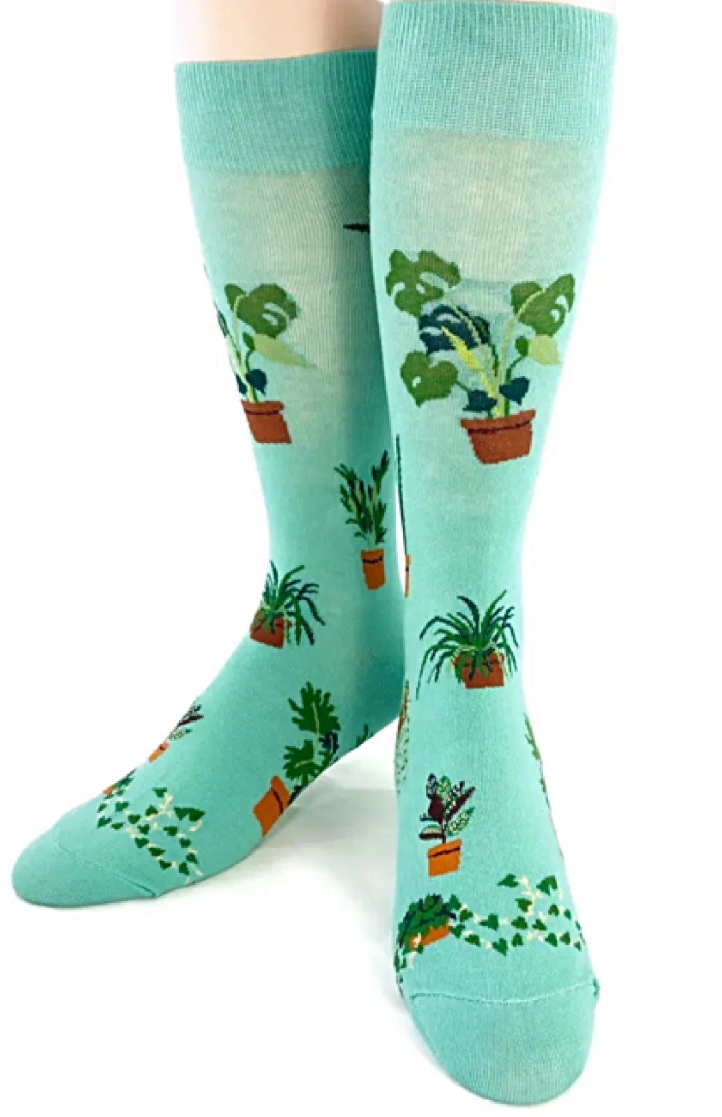 FOOT TRAFFIC Brand Men’s PLANT DUDE Socks - Novelty Socks for Less