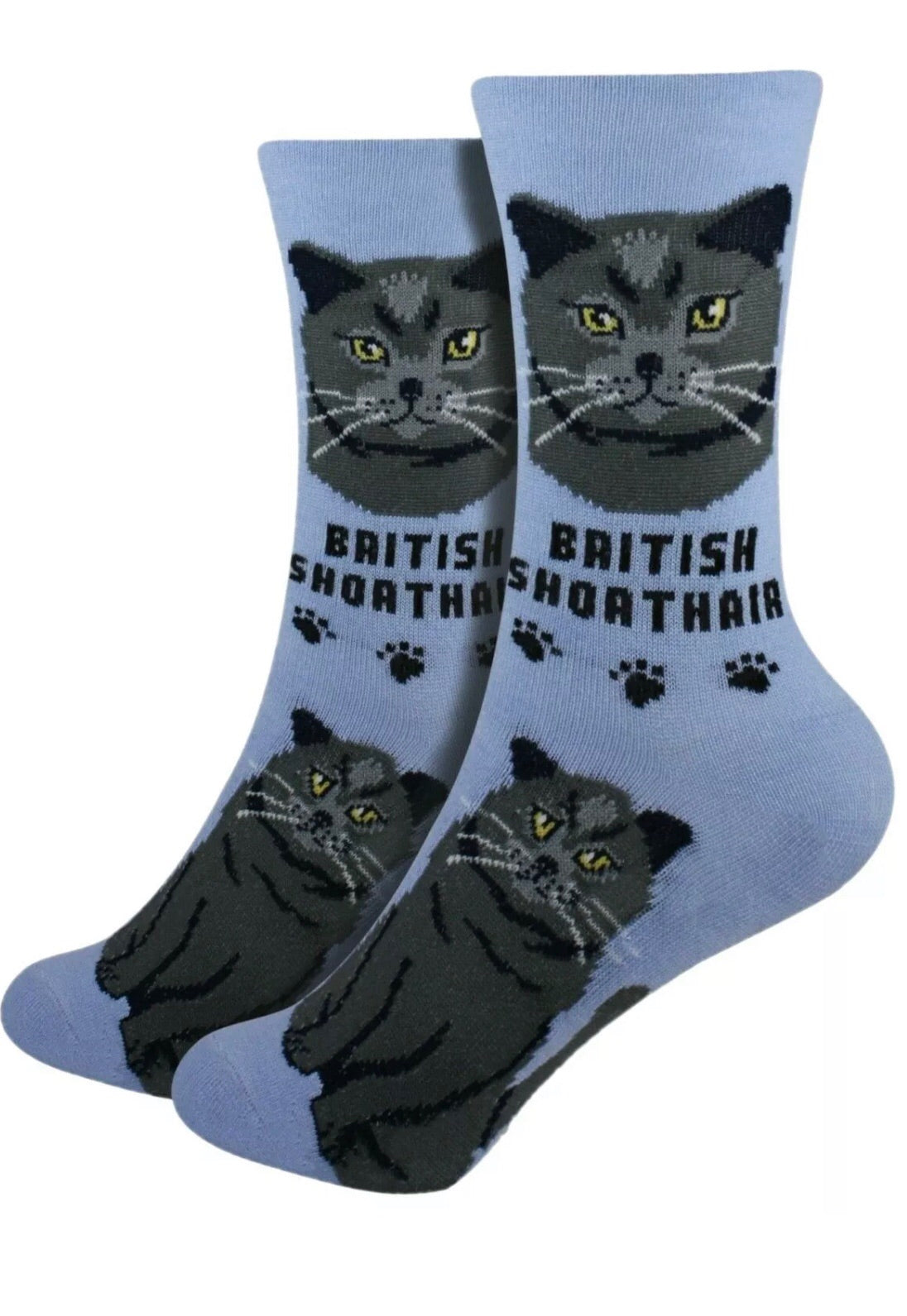 FOOZYS Brand Ladies BRITISH SHORTHAIR Cat - Novelty Socks for Less