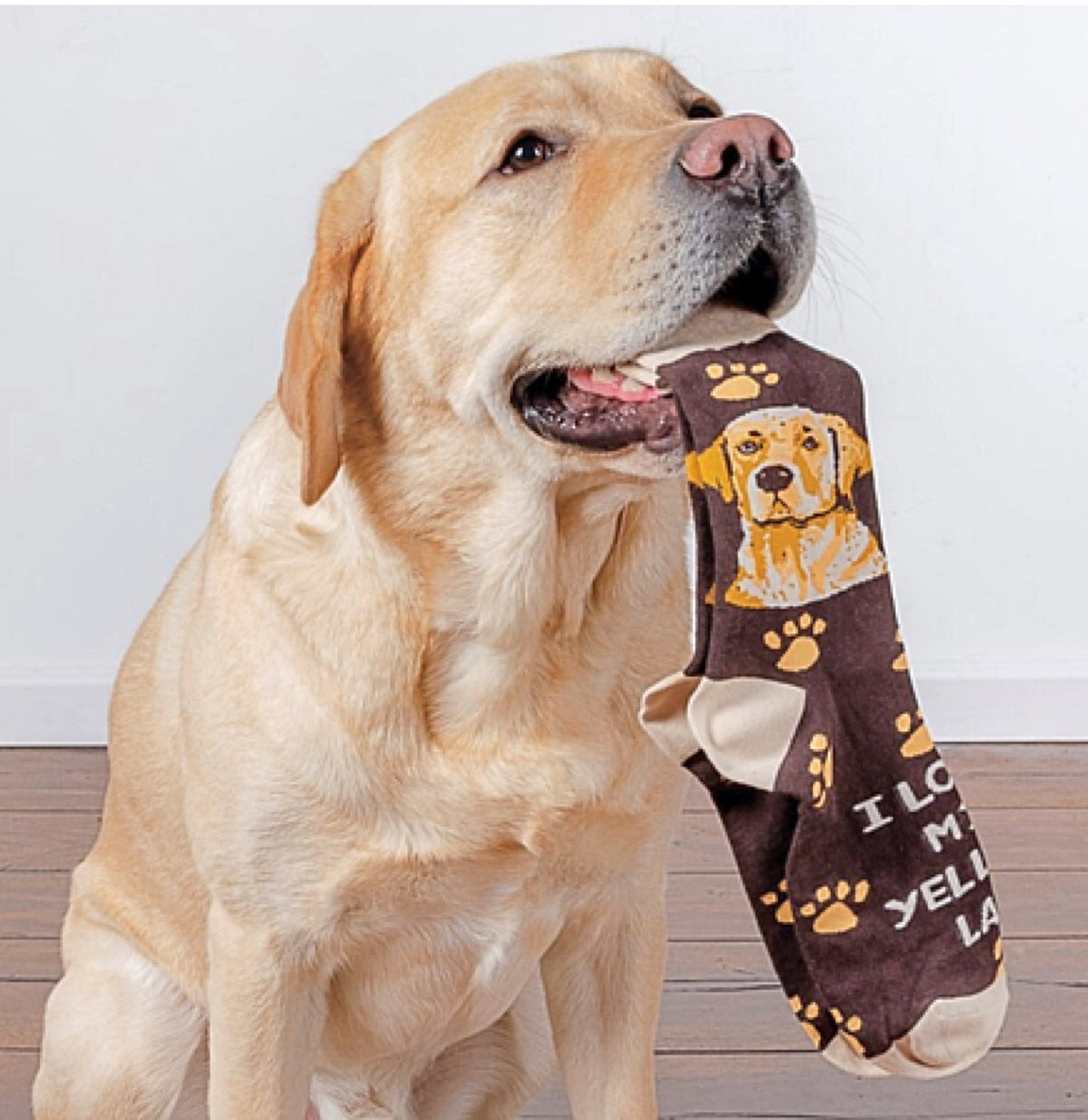 PRIMITIVES BY KATHY Unisex ‘I LOVE MY YELLOW LAB’ Dog Socks - Novelty Socks for Less