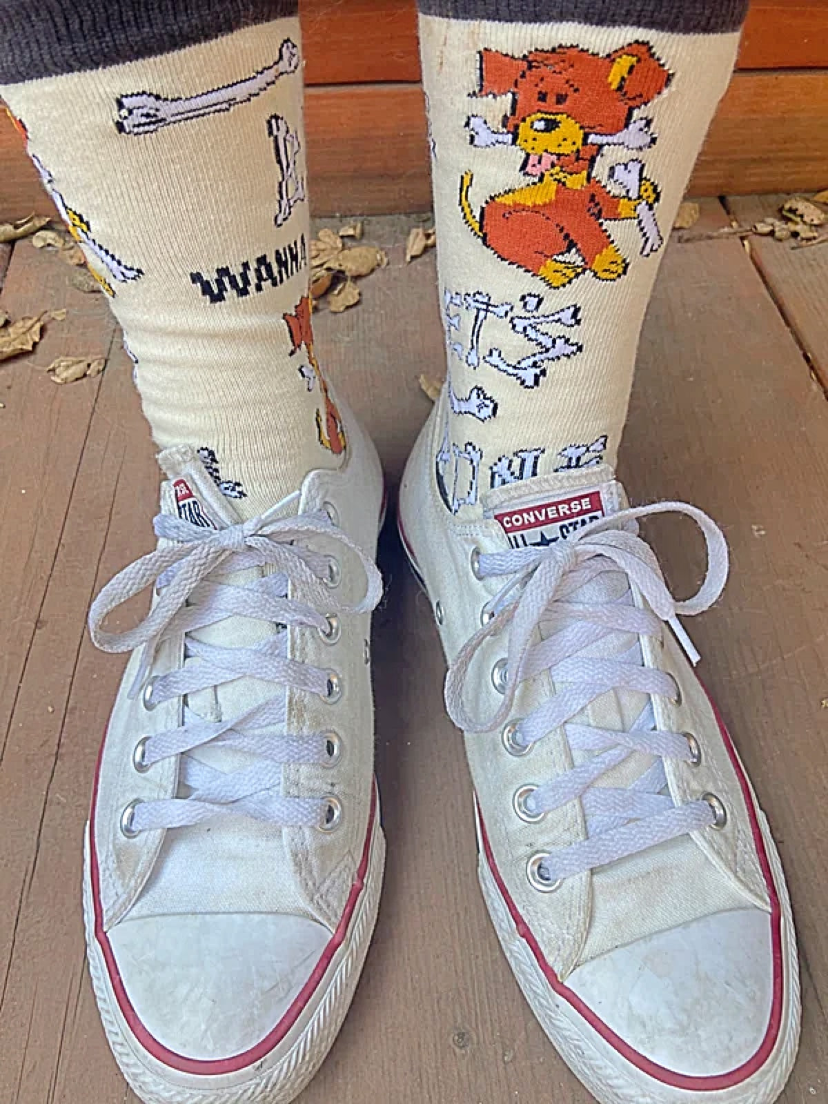 OOOH YEAH Brand Men’s DOG Socks ‘WANNA BONE?’ - Novelty Socks for Less