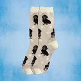 BLACK DACHSHUND Dog Adult Unisex Socks By E&S Pets Choose Style