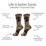 CHOCOLATE LABRADOR Dog Adult Unisex Socks By E&S Pets Choose Style