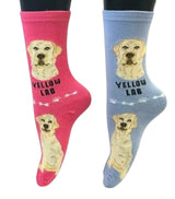 YELLOW LABRADOR DOG Ladies 2 Pair Of Socks FOOZYS Brand