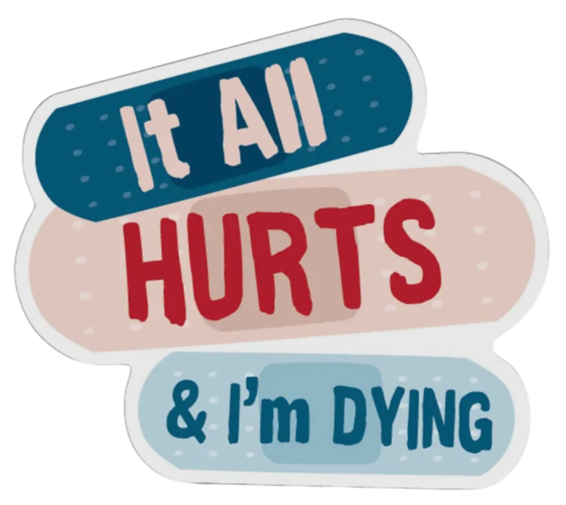 FUNATIC Brand IT ALL HURTS & I’M DYING Vinyl Sticker - Novelty Socks And Slippers
