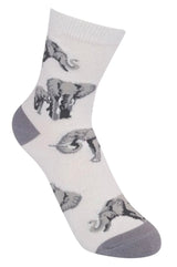 FUNATIC Brand Unisex Kids ELEPHANT Socks Elephants All Over Kids Age 7-10 - Novelty Socks And Slippers