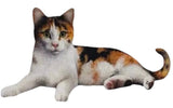 DOG & CAT Vinyl Stickers By E&S Pets (Choose Style) - Novelty Socks And Slippers
