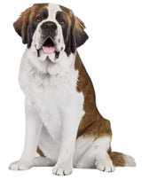 DOG & CAT Vinyl Stickers By E&S Pets (Choose Style) - Novelty Socks And Slippers