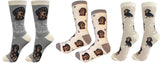 BLACK DACHSHUND Dog Unisex Socks By E&S Pets CHOOSE SOCK DADDY, HAPPY TAILS, LIFE IS BETTER - Novelty Socks for Less