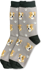 PIT BULL Dog Adult Unisex Socks By E&S Pets Choose Style