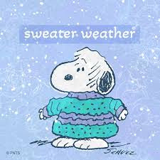 PEANUTS Ladies Fall 5 Pair Of Socks Snoopy & Woodstock ‘SWEATER WEATHER’