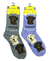 LABRADOR RETRIEVER Dog Ladies 2 Pair Of Socks FOOZYS Brand
