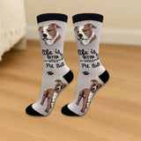 PIT BULL Dog Adult Unisex Socks By E&S Pets Choose Style