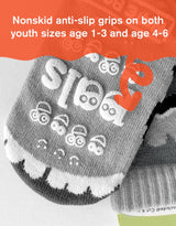 RAINBOW FACE & MR. GRAY Unisex Kids Mismatched Gripper Bottom Socks PALS SOCKS Brand (CHOOSE SIZE) - Novelty Socks And Slippers