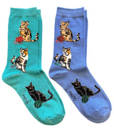 CALICO, TABBY & BLACK CATS Ladies CAT 2 Pair Of Socks FOOZYS Brand - Novelty Socks And Slippers