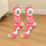 BICHON FRISE Dog Adult Unisex Socks By E&S Pets Choose Style