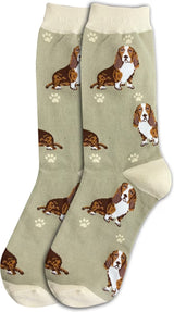 BASSET HOUND Dog Adult Unisex Socks By E&S Pets Choose Style