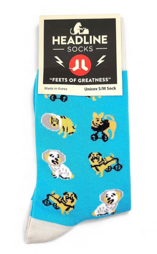 SAD DOGS ADULT UNISEX SOCKS HEADLINE BRAND SOCKS SIZE S/M - Novelty Socks And Slippers