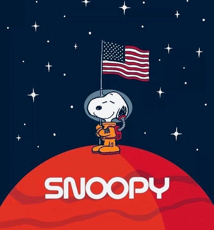 PEANUTS Men’s 2 Pair Of Socks ASTRONAUT SNOOPY & WOODSTOCK ‘ON A MISSION’