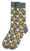 PARQUET Brand Men’s KITTEN Socks KITTENS ALL OVER - Novelty Socks And Slippers