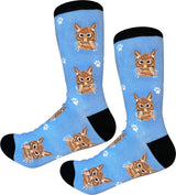 ORANGE TABBY Cat Adult Unisex Socks By E&S Pets Choose Style