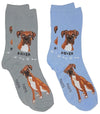 FOOZYS Ladies 2 Pair BOXER DOG Socks - Novelty Socks for Less
