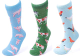 PARQUET Brand Men’s FARM ANIMALS Socks CHOOSE CHICKENS, PIGS Or COWS - Novelty Socks for Less