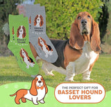 FOOZYS BRAND LADIES 2 PAIR BASSET HOUND DOG SOCKS - Novelty Socks for Less