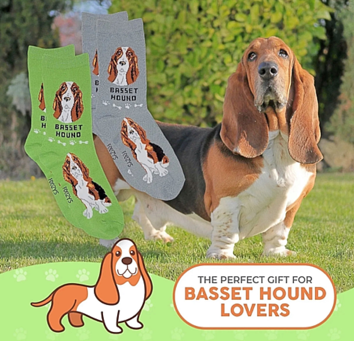 FOOZYS BRAND LADIES 2 PAIR BASSET HOUND DOG SOCKS - Novelty Socks for Less