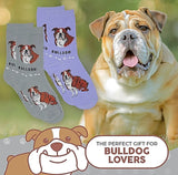 FOOZYS Ladies 2 Pair BULLDOG Socks - Novelty Socks for Less