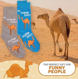FOOZYS BRAND Men's 2 Pair OF CAMEL Socks 'HUMP DAY' - Novelty Socks for Less