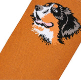 BERNESE MOUNTAIN Dog Ladies Socks COOL SOCKS Brand - Novelty Socks for Less