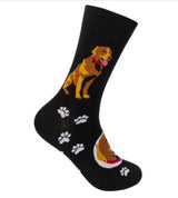 FUNATIC BRAND CHOCOLATE LAB DOG - Novelty Socks for Less