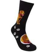 FUNATIC BRAND CHOCOLATE LAB DOG - Novelty Socks for Less