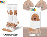 LABRADOODLE Dog Ladies Socks COOL SOCKS Brand - Novelty Socks for Less