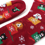 PARQUET BRAND Ladies CHRISTMAS CATS & DOGS Socks - Novelty Socks for Less