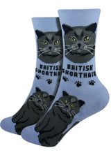 FOOZYS Brand Ladies BRITISH SHORTHAIR Cat - Novelty Socks for Less